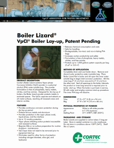 Boiler_Lizard PDS